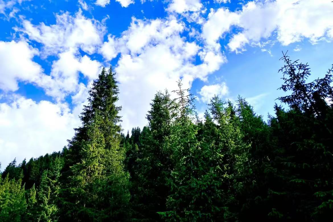 Bayan Amu Scenic Area